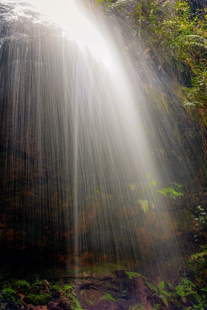 A waterfall in the Blue Mountains.