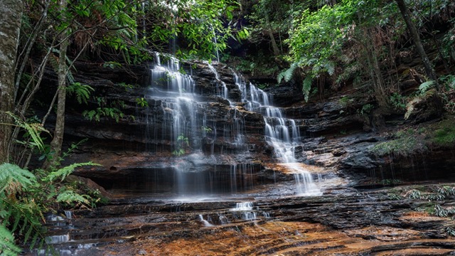 A waterfall amidst a lush green forest in the Blue Mountains.