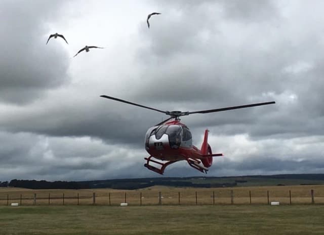 A helicopter flying over a field with seagulls in the Great Ocean Road.