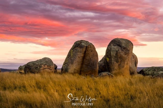 boulders at sunset with tussock grass in the foreground with a colourful sky