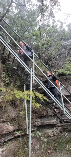 Two people climbing up a metal staircase in the Blue Mountains.