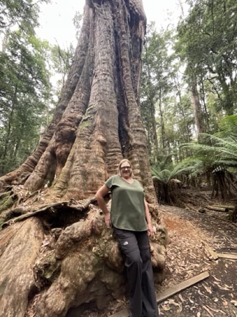 A woman standing next to a large tree in the forests of North West Tasmania.