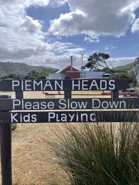 A sign in North West Tasmania asking drivers to please slow down for kids playing, featuring pieman heads.