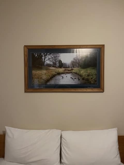 A solo traveler's bed with a picture of a river above it.