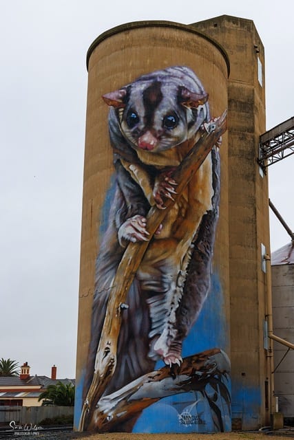 A solo road trip to view a painting of a possum on a silo.