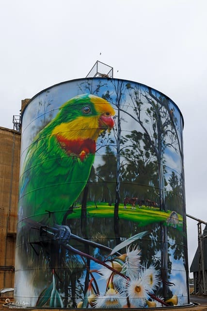 An oil silo with a colorful bird on a solo road trip.