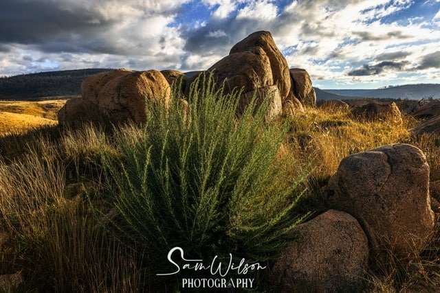 A picturesque grassy area with rocks and a cloudy sky, perfect for photography tours.