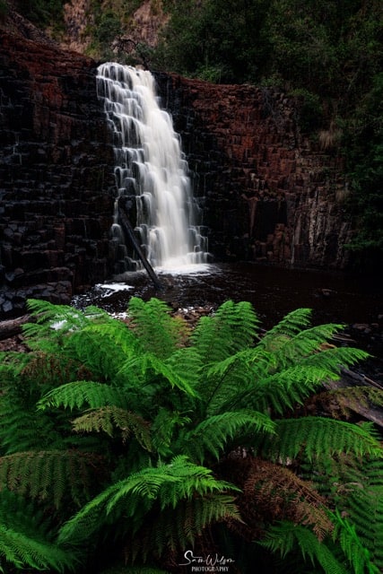 A Tasmania photo road trip to a waterfall surrounded by ferns and rocks.