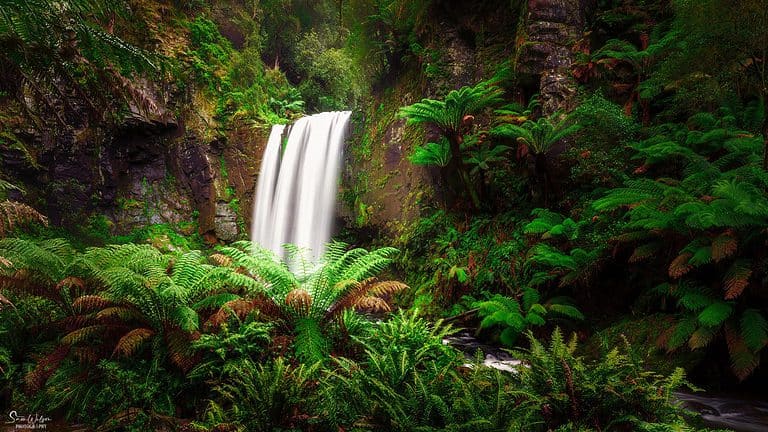 Waterfall Photography: Tips For New Photographers