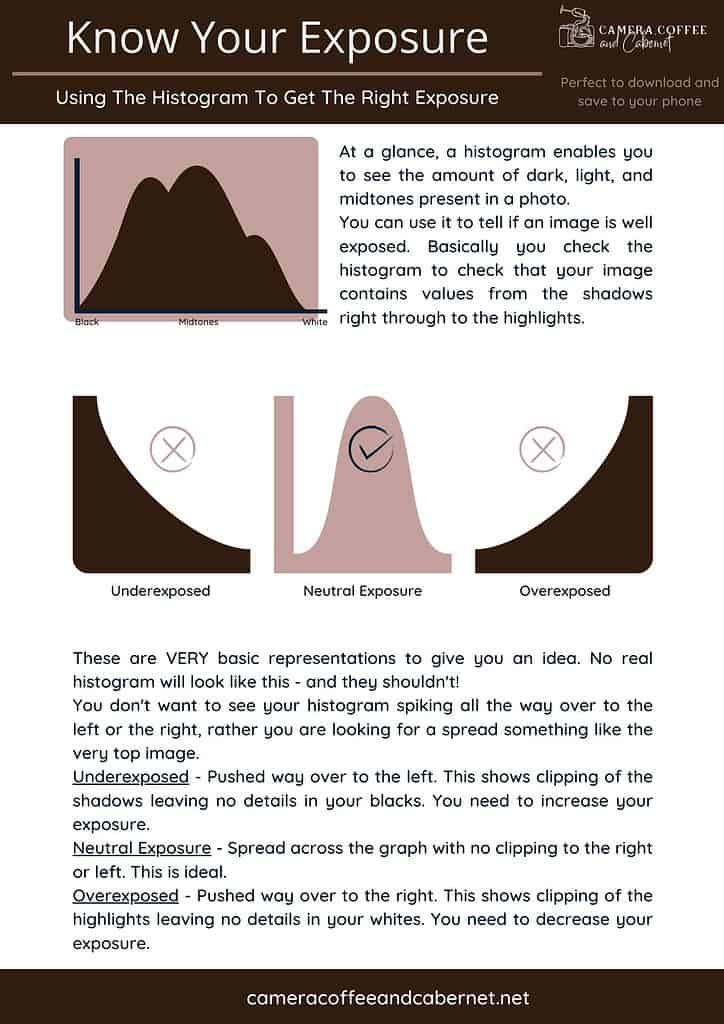 Infographic Showing the importance of the histogram for Long Exposure Landscape Photography Infographic