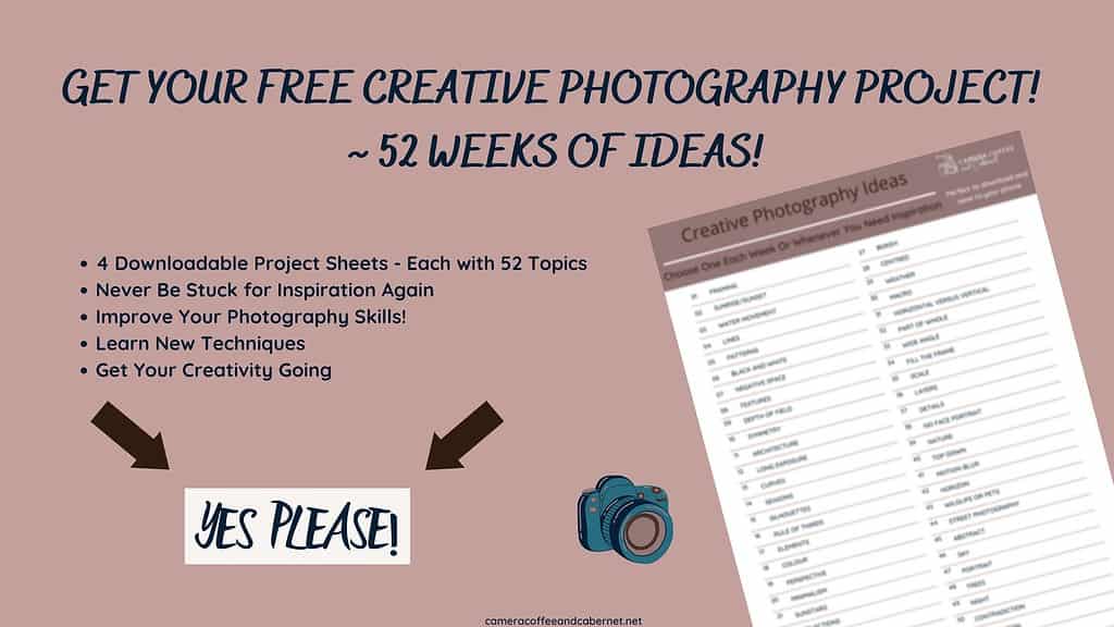 Free Creative Photography Project link - 4 sheets each with 52 ideas