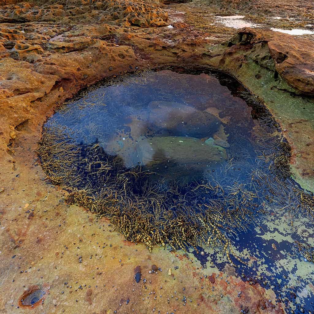 A rocky photo spot on the south coast featuring a small pool of water.
