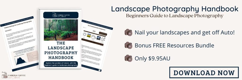 link to paid handbook to help with skill and vision in landscape photography