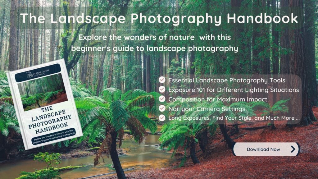 Handbook for mastering the skill and vision in landscape photography.