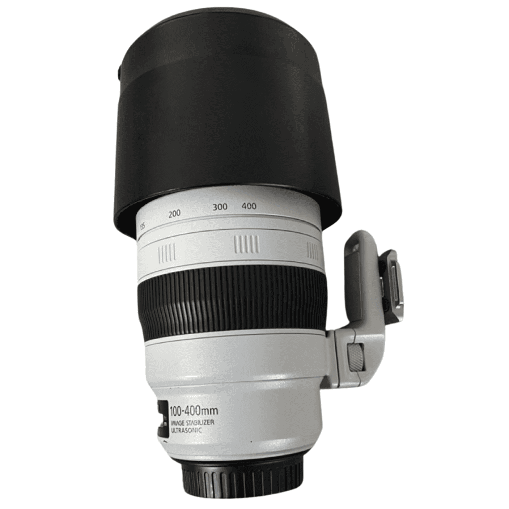 Canon 100-400mm lens