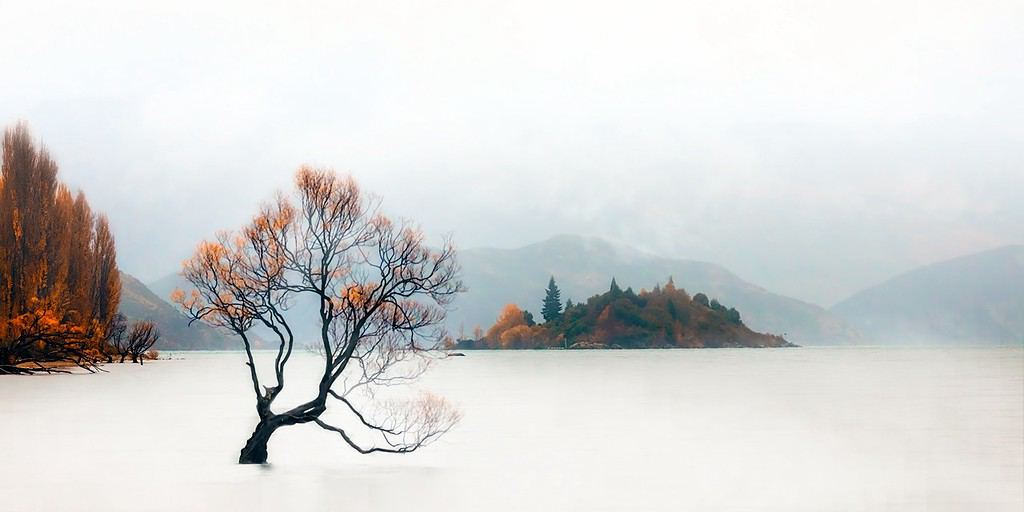 Lone tree in Wanaka Lake, New Zealand. Highlights both minimalism and negative space in your travel photography