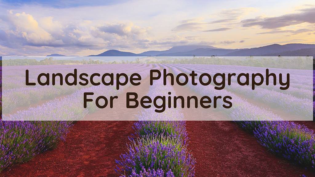 Landscape photography for beginners.
