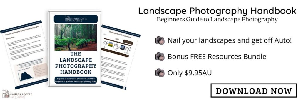 Advertisement for the 'Landscape Photography Handbook', a beginner's guide to landscape photography. It features a preview of the handbook cover with a forest image, a tagline 'Nail your landscapes and get off Auto', a bonus offer of a free resources bundle, and a price tag of $9.95 AU with a 'DOWNLOAD NOW' button