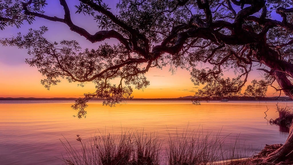 Serene sunset view utilising a frame within a frame with twisted tree branches over a calm lake, with warm orange and purple hues reflecting on the water's surface.