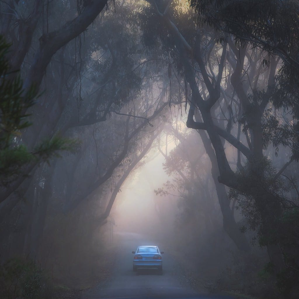 A solitary car drives through a misty forest road, enveloped by the soft morning light filtering through a natural archway of overhanging eucalyptus trees, creating a 'frame within a frame' with light and shadow in this atmospheric landscape photograph.