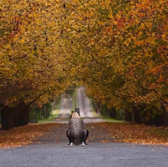 A person (Sam, owner of Camera Coffee and Cabenet) sitting in the middle of a tree-lined road covered in fallen autumn leaves, with the pathway leading to a distant vanishing point
