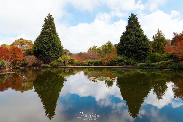 A serene lake reflects towering conifers and autumn-hued foliage under a cloudy sky, offering a tranquil view of the changing seasons with perfect symmetry in the water.