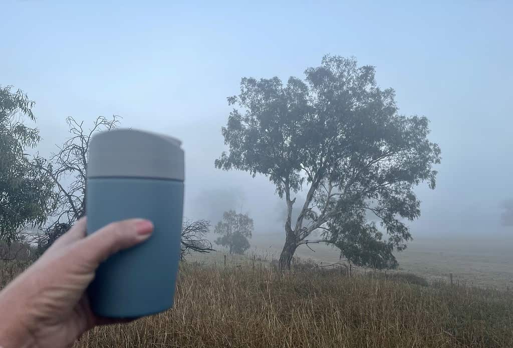 Early morning mist shrouding a solitary tree in the countryside, with the view partially obscured by a hand holding a teal travel mug